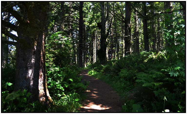 Cape Perpetua Trail by David Chamberlin, Jr.